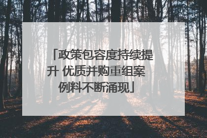政策包容度持续提升 优质并购重组案例料不断涌现