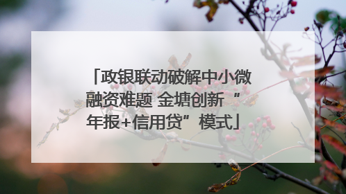 政银联动破解中小微融资难题 金塘创新“年报+信用贷”模式