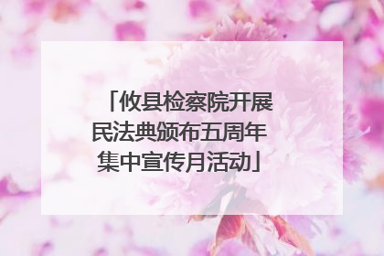 攸县检察院开展民法典颁布五周年集中宣传月活动