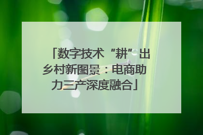 数字技术“耕”出乡村新图景：电商助力三产深度融合