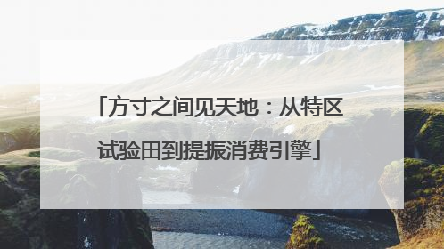 方寸之间见天地：从特区试验田到提振消费引擎