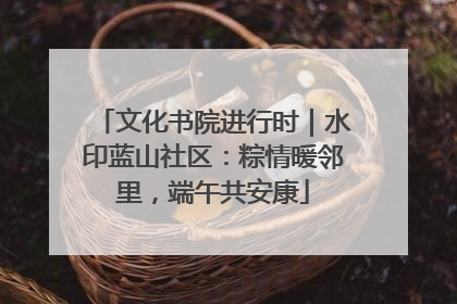 文化书院进行时｜水印蓝山社区：粽情暖邻里，端午共安康