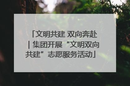 文明共建 双向奔赴｜集团开展“文明双向共建”志愿服务活动