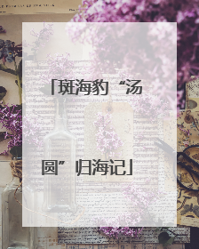斑海豹“汤圆”归海记