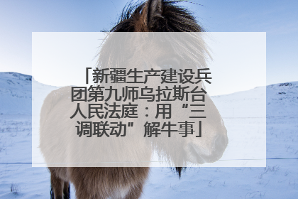 新疆生产建设兵团第九师乌拉斯台人民法庭：用“三调联动”解牛事