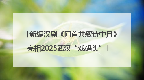 新编汉剧《回首共叙诗中月》亮相2025武汉“戏码头”
