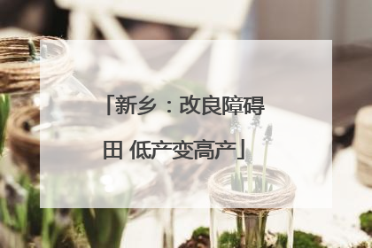 新乡：改良障碍田 低产变高产