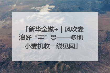 新华全媒+｜风吹麦浪好“丰”景——多地小麦机收一线见闻
