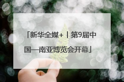 新华全媒+丨第9届中国—南亚博览会开幕