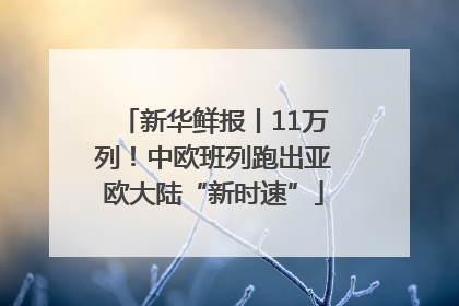 新华鲜报丨11万列！中欧班列跑出亚欧大陆“新时速”