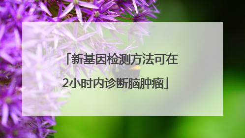 新基因检测方法可在2小时内诊断脑肿瘤