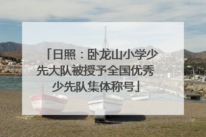 日照：卧龙山小学少先大队被授予全国优秀少先队集体称号