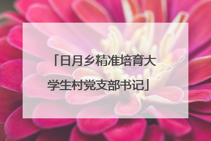 日月乡精准培育大学生村党支部书记