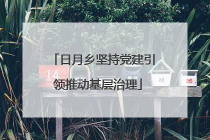日月乡坚持党建引领推动基层治理