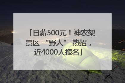 日薪500元！神农架景区 “野人” 热招，近4000人报名