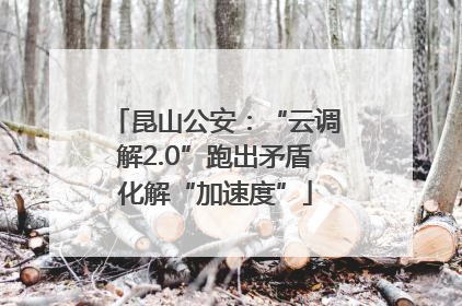 昆山公安：“云调解2.0”跑出矛盾化解“加速度”