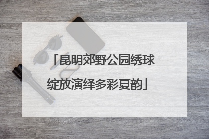 昆明郊野公园绣球绽放演绎多彩夏韵