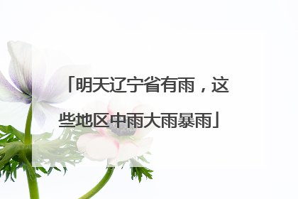 明天辽宁省有雨，这些地区中雨大雨暴雨