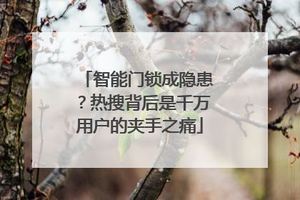 智能门锁成隐患？热搜背后是千万用户的夹手之痛