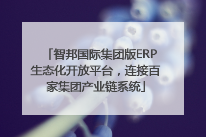 智邦国际集团版ERP生态化开放平台，连接百家集团产业链系统