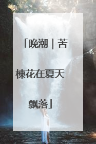 晚潮｜苦楝花在夏天飘落