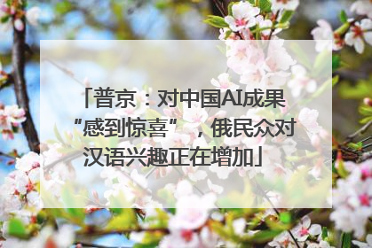 普京：对中国AI成果“感到惊喜”，俄民众对汉语兴趣正在增加