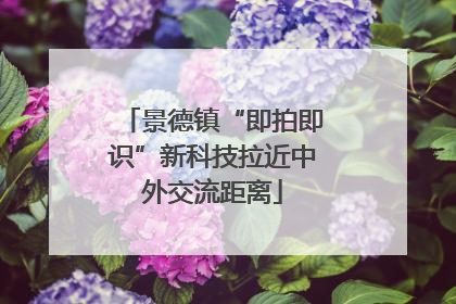 景德镇“即拍即识”新科技拉近中外交流距离