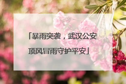 暴雨突袭，武汉公安顶风冒雨守护平安
