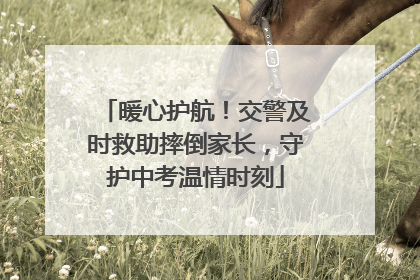 暖心护航！交警及时救助摔倒家长，守护中考温情时刻