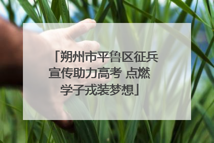 朔州市平鲁区征兵宣传助力高考 点燃学子戎装梦想