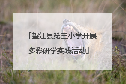 望江县第三小学开展多彩研学实践活动