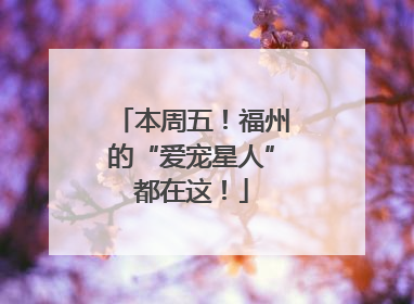 本周五！福州的“爱宠星人”都在这！
