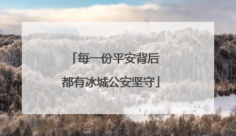 每一份平安背后 都有冰城公安坚守