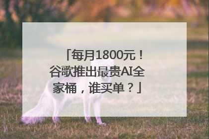 每月1800元！谷歌推出最贵AI全家桶，谁买单？
