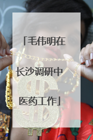 毛伟明在长沙调研中医药工作