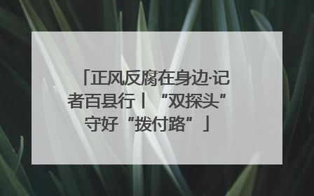 正风反腐在身边·记者百县行丨“双探头”守好“拨付路”