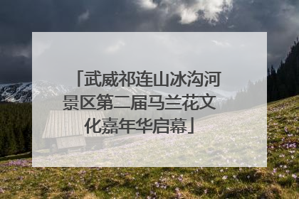武威祁连山冰沟河景区第二届马兰花文化嘉年华启幕