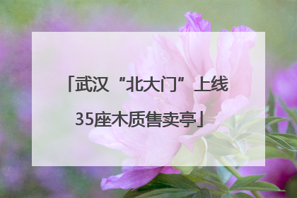 武汉“北大门”上线35座木质售卖亭