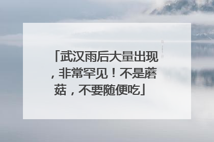 武汉雨后大量出现，非常罕见！不是蘑菇，不要随便吃