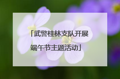 武警桂林支队开展端午节主题活动