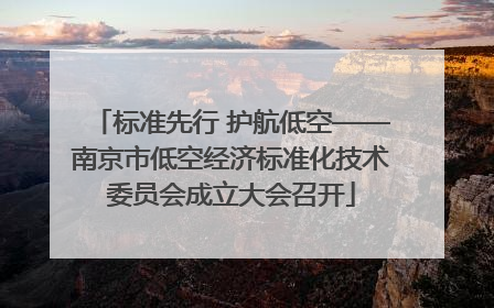 标准先行 护航低空——南京市低空经济标准化技术委员会成立大会召开