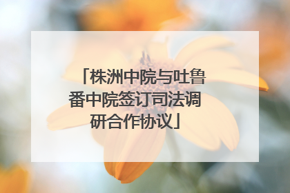 株洲中院与吐鲁番中院签订司法调研合作协议