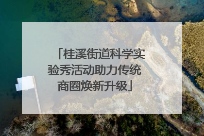 桂溪街道科学实验秀活动助力传统商圈焕新升级