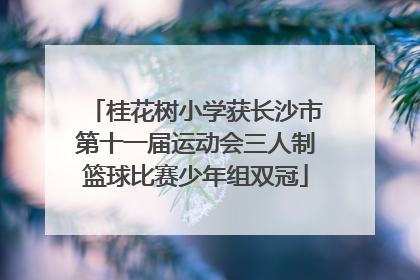 桂花树小学获长沙市第十一届运动会三人制篮球比赛少年组双冠