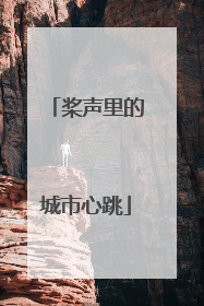 桨声里的城市心跳