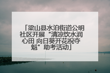 梁山县水泊街道公明社区开展“清凉饮水润心田 向日葵开花祝夺魁”助考活动