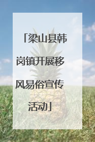 梁山县韩岗镇开展移风易俗宣传活动