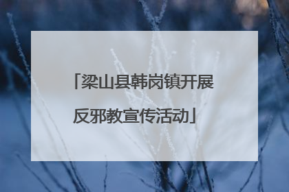 梁山县韩岗镇开展反邪教宣传活动