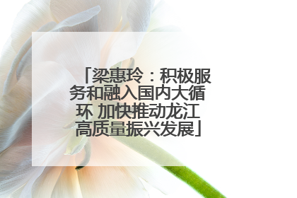 梁惠玲：积极服务和融入国内大循环 加快推动龙江高质量振兴发展
