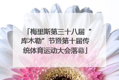 梅里斯第三十八届“库木勒”节暨第十届传统体育运动大会落幕